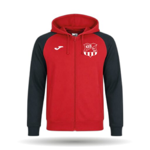 SV Barth - Kapuzenjacke Academy IV Herren